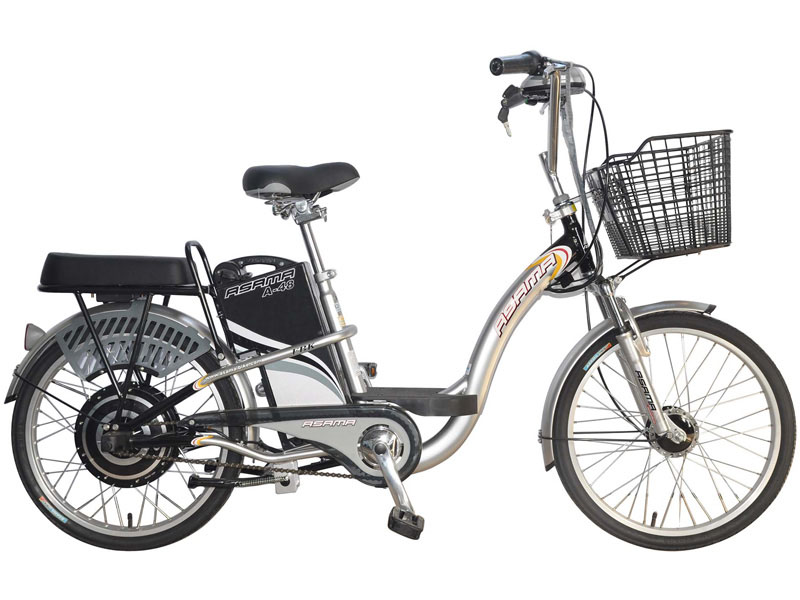 Ắc quy xe đạp điện Asama Hóc Mô