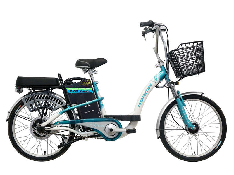 Ắc quy xe đạp điện Asama Tây Ninh