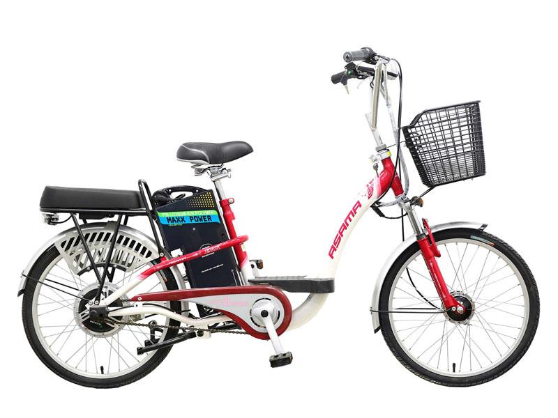 Ắc quy xe đạp điện Asama Bạc Liêu 