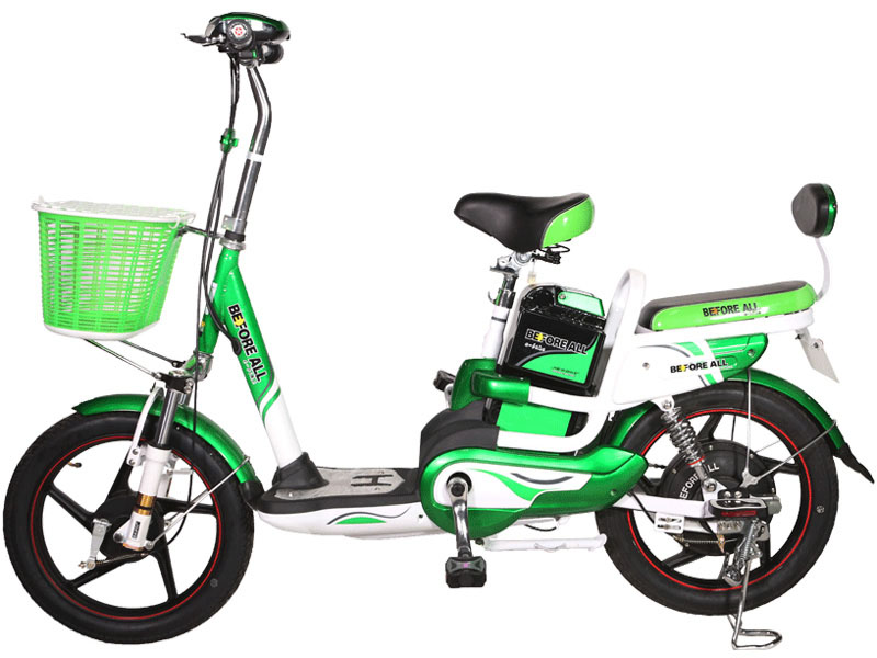 Ắc quy xe đạp điện Before All Bình Thuận  