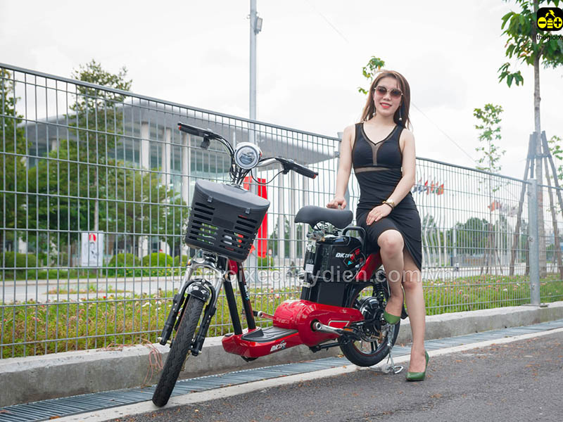Phụ tùng xe đạp điện Đào Khôi Dkbike Đà Nẵng 