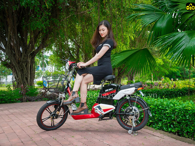Ắc quy xe đạp điện Đào Khôi Dkbike Lâm Đồng 