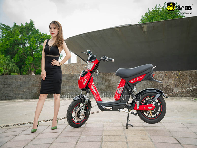 Phụ tùng xe đạp điện Đào Khôi Dkbike Sóc Trăng