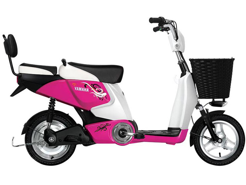 Ắc quy xe đạp điện Yamaha Hà Nam rẻ Ắc quy xe đạp điện Yamaha Hà Nam