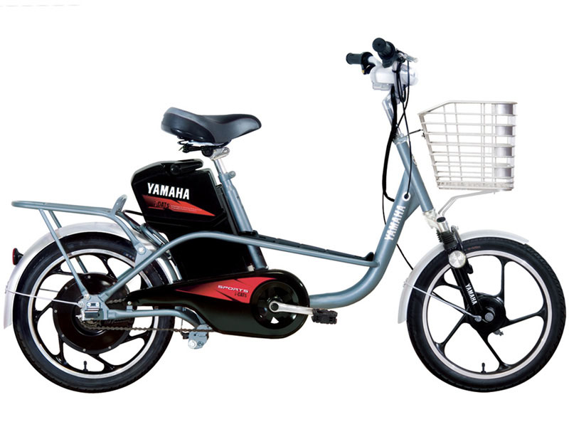 Phụ tùng xe đạp điện Yamaha Tiền Giang 