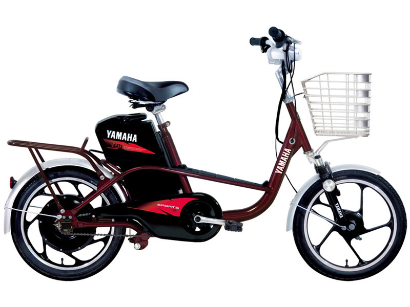 Ắc quy xe đạp điện Yamaha Bình Dương