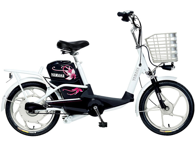 Ắc quy xe đạp điện Yamaha Tiền Giang 