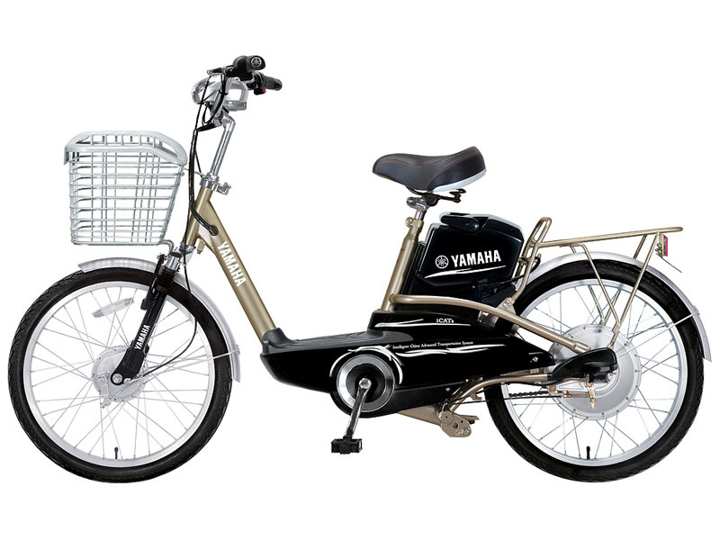 Ắc quy xe đạp điện Yamaha Thái Bình