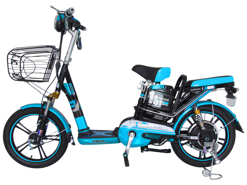 Ắc quy xe đạp điện Kingda Dak Lak 