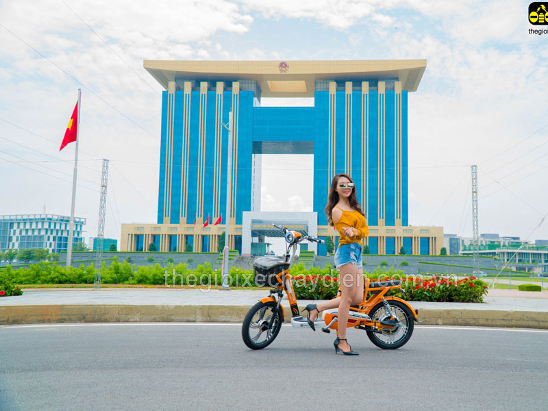 Ắc quy xe đạp điện Nijia Vĩnh Long