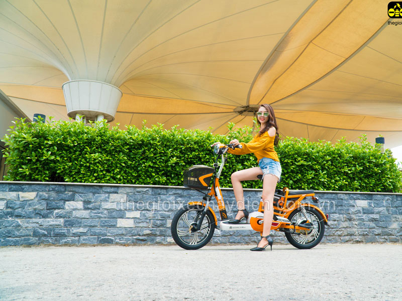 Ắc quy xe đạp điện Nijia Cát Tường