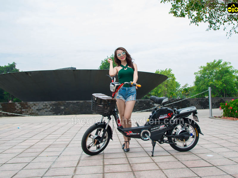 Ắc quy xe đạp điện Nijia Trà Vinh 
