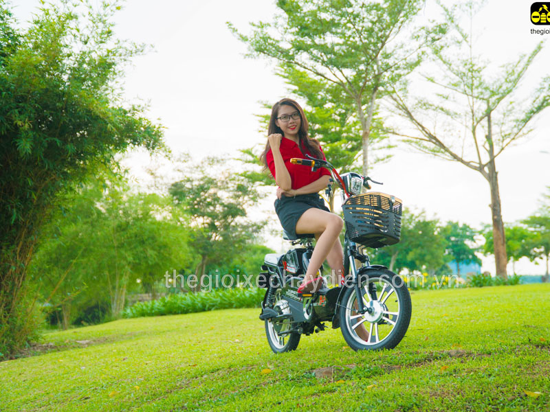 Phụ tùng xe đạp điện Nijia An Giang 
