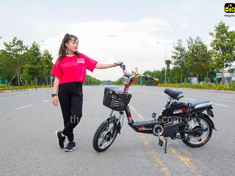 Phụ tùng xe đạp điện Nijia Sơn La