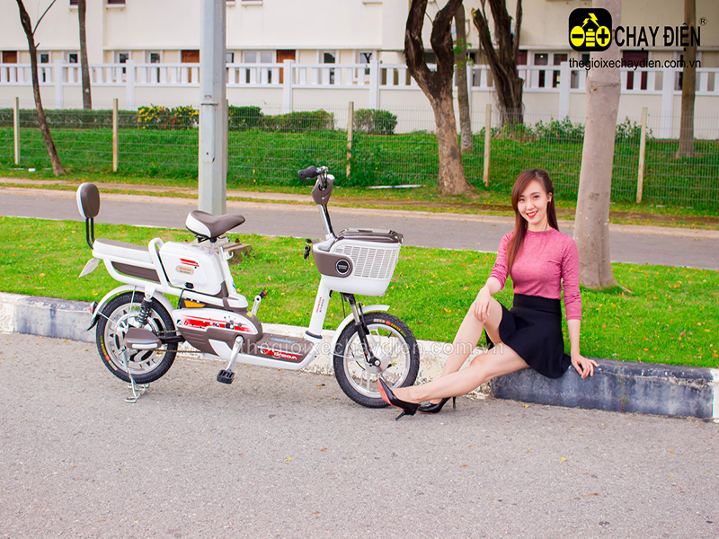 Ắc quy xe đạp điện Honda Kiên Giang 