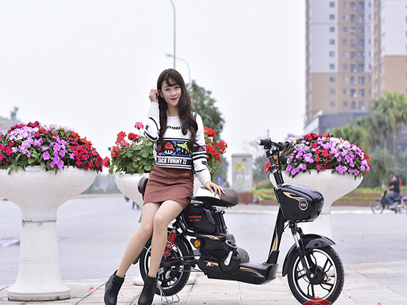Ắc quy xe đạp điện Honda Tân Bình