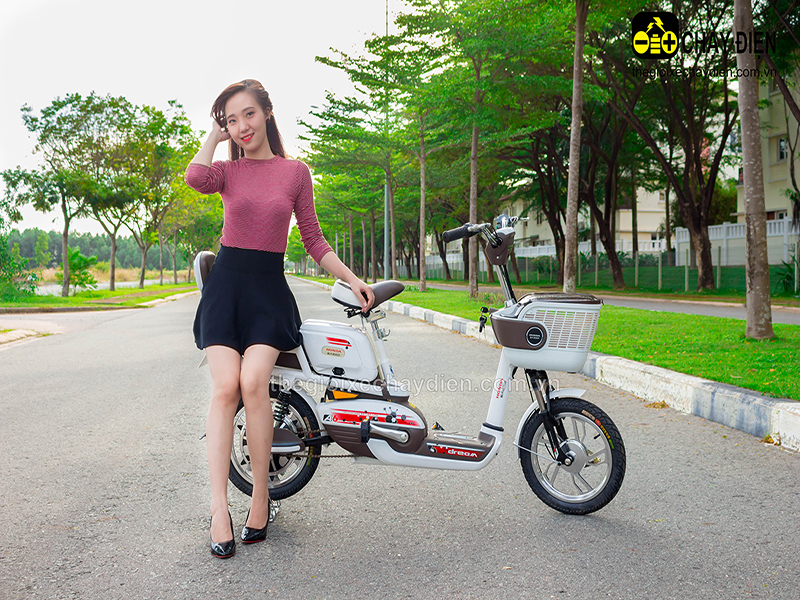 Ắc quy xe đạp điện Honda Hoàng Mai