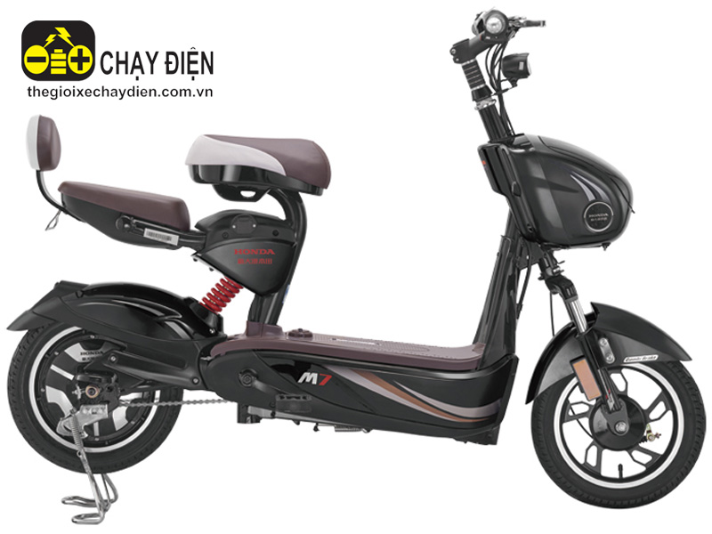Ắc quy xe đạp điện Honda Tiền Giang 