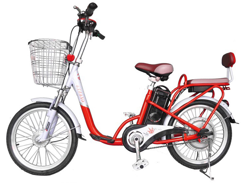 Ắc quy xe đạp điện Gianya Tân Phú