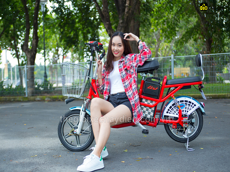 Ắc quy xe đạp điện Lixi Sơn La