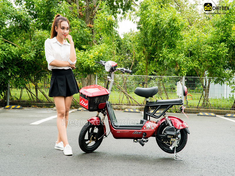 Ắc quy xe đạp điện Lixi Bình Thuận