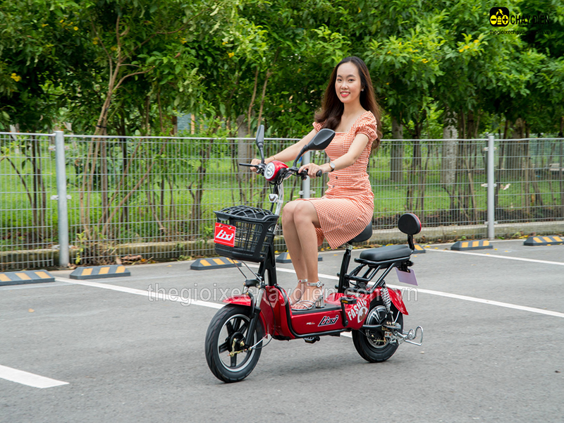  Ắc quy xe đạp điện Lixi Hậu Giang