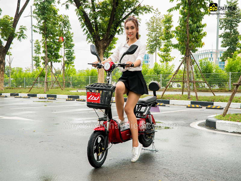 Phụ tùng xe đạp điện Lixi Phú Thọ