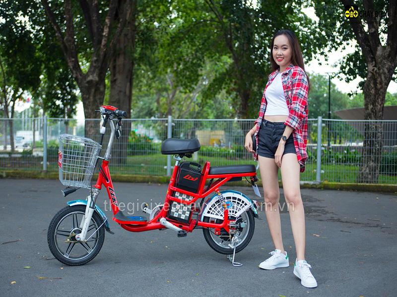Phụ tùng xe đạp điện Lixi Dak Nông