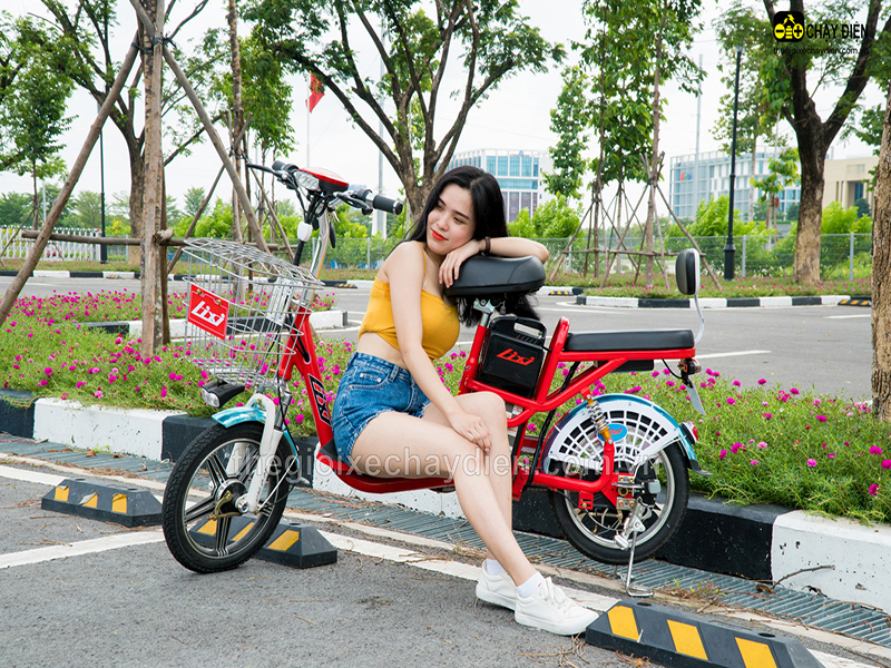 Ắc quy xe đạp điện Lixi Lai Châu