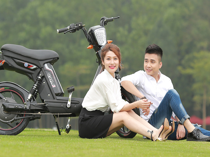 Ắc quy xe đạp điện Pega Tân Phú