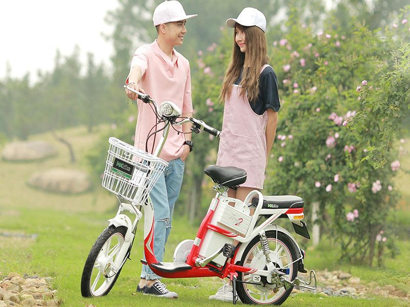 Ắc quy xe đạp điện Pega Bình Thuận