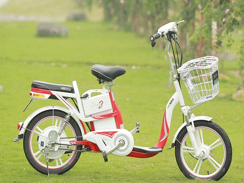 Ắc quy xe đạp điện Pega Quảng Nam
