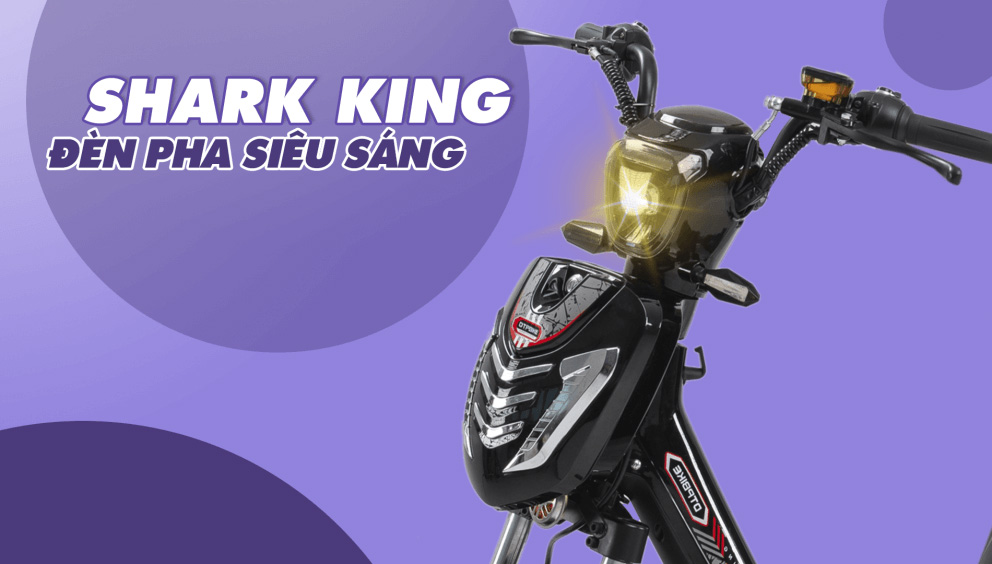 Xe đạp điện Kazuki Shart King