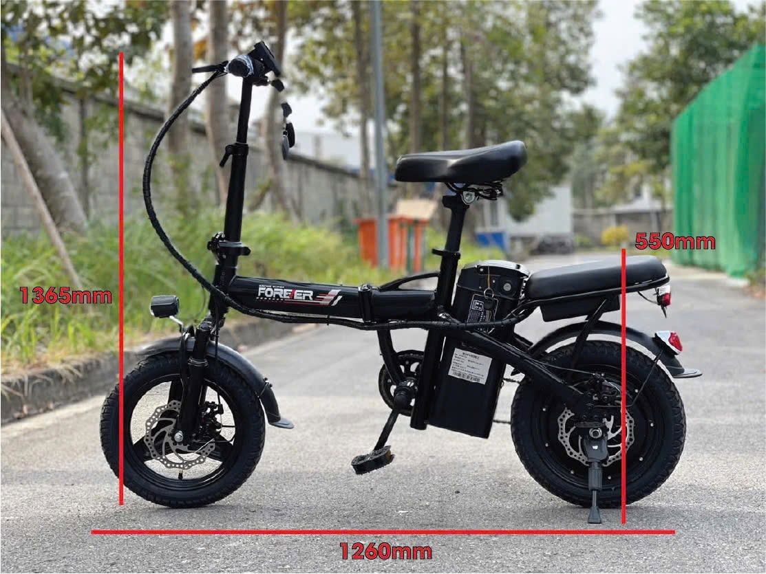 Xe đạp điện gấp Smart F1 20AH