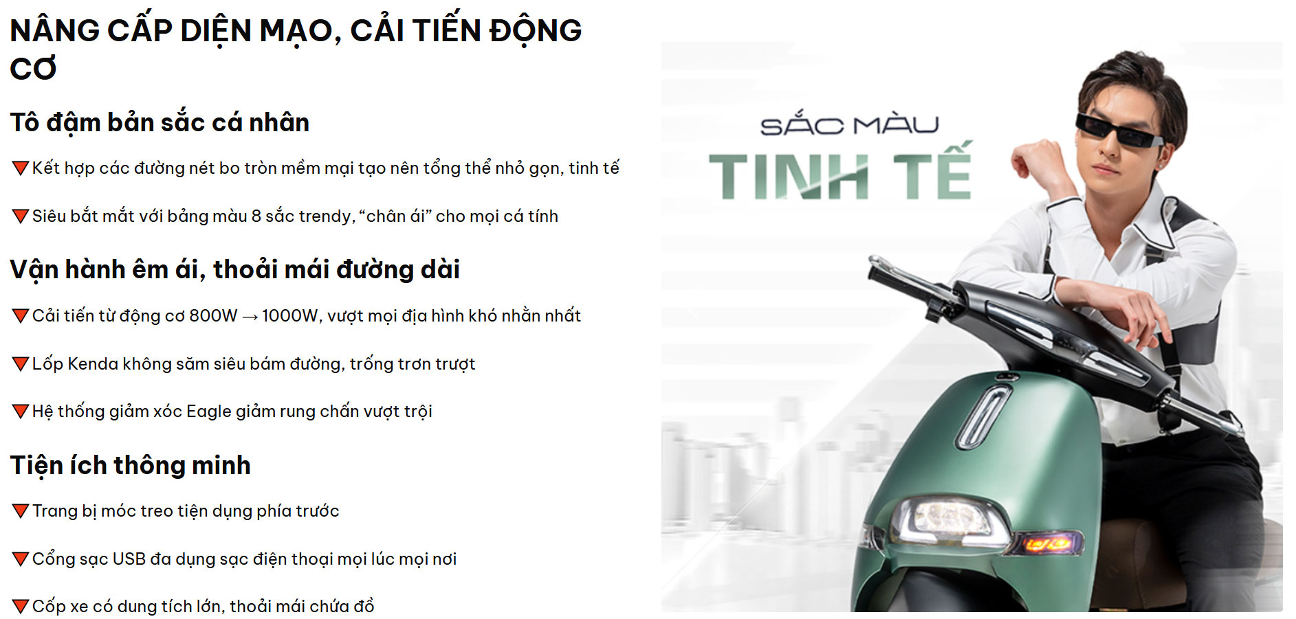 Xe máy điện GOGO FIONA