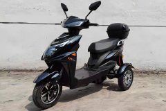 Xe điện 3 bánh đa năng Q1