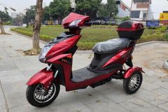 Xe điện 3 bánh đa năng Q1