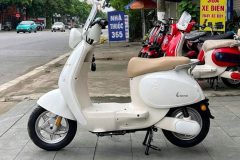 Xe điện Aima Love