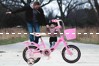 Xe đạp trẻ em Fornix B-Cindy