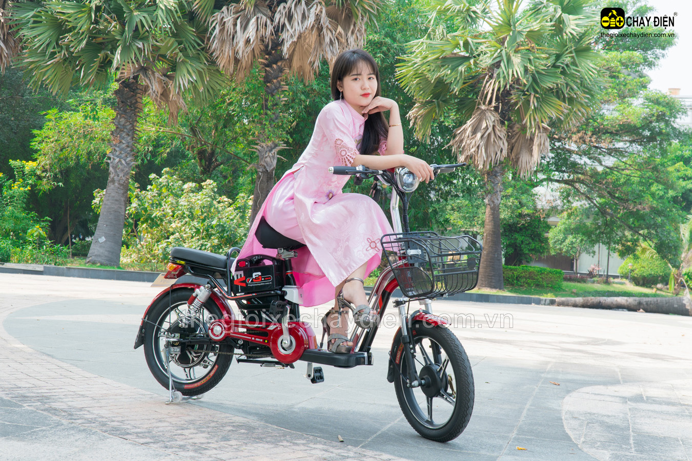 Xe đạp điện EV S2 – cùng bạn chinh phục mọi nẻo đường
