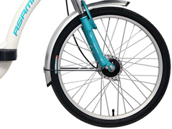 bánh trước Xe đạp điện Asama EBK 002