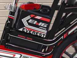 Bình ắc quy Xe đạp điện Everest EM6 giúp cung cấp năng lượng